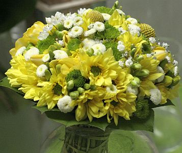 Spring arrangement made of chrysanthemum regans, santini, freesia, tanagetum, gypso all white&yellow